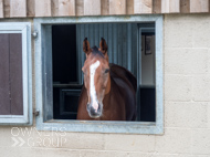 AH040924-5 - Glynn